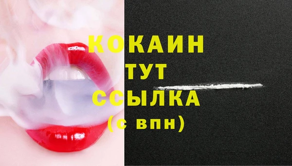 гидропоника Абаза