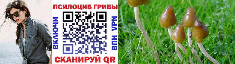 Галлюциногенные грибы MAGIC MUSHROOMS  Фурманов 
